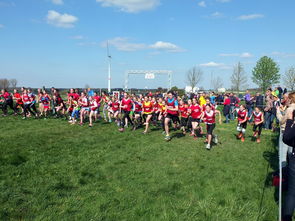 乐鱼体育官网优惠-青少年体育活动参与动力分析，青少年的体育活动